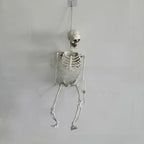 Halloween Plastic Skeleton Prop