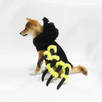 Funny Pet Spider Costume for Halloween and Cosplay