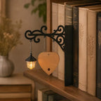 Library bookshelf lighting fixture