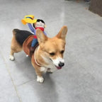 Dog Riding Transformation Costume