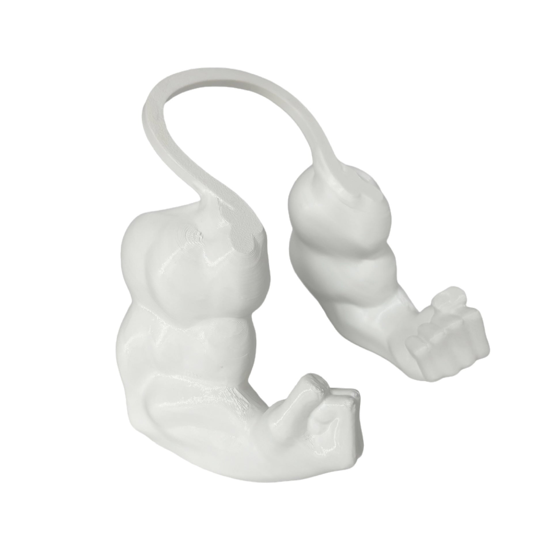 Creative Pet Muscle Arm Novelty Toy