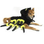 Funny Pet Spider Costume for Halloween and Cosplay