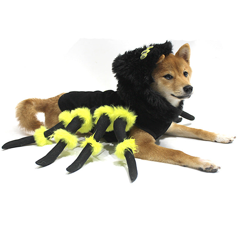 Funny Pet Spider Costume for Halloween and Cosplay
