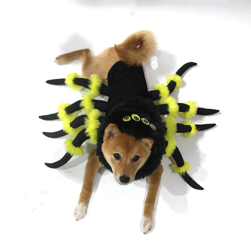 Funny Pet Spider Costume for Halloween and Cosplay