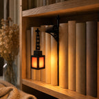 Library bookshelf lighting fixture
