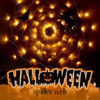 Halloween Spider Web Light with Remote Control