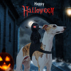Dark Knight Pet Transformation Costume