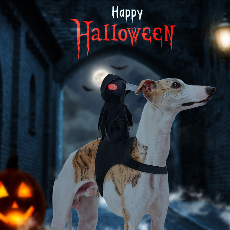 Dark Knight Pet Transformation Costume