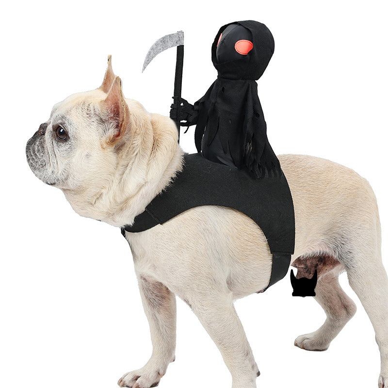 Dark Knight Pet Transformation Costume