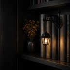 Decorative Bookshelves Illuminate Library Lanterns