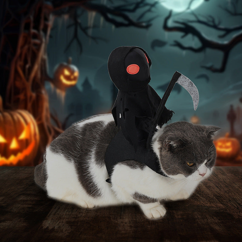 Dark Knight Pet Transformation Costume