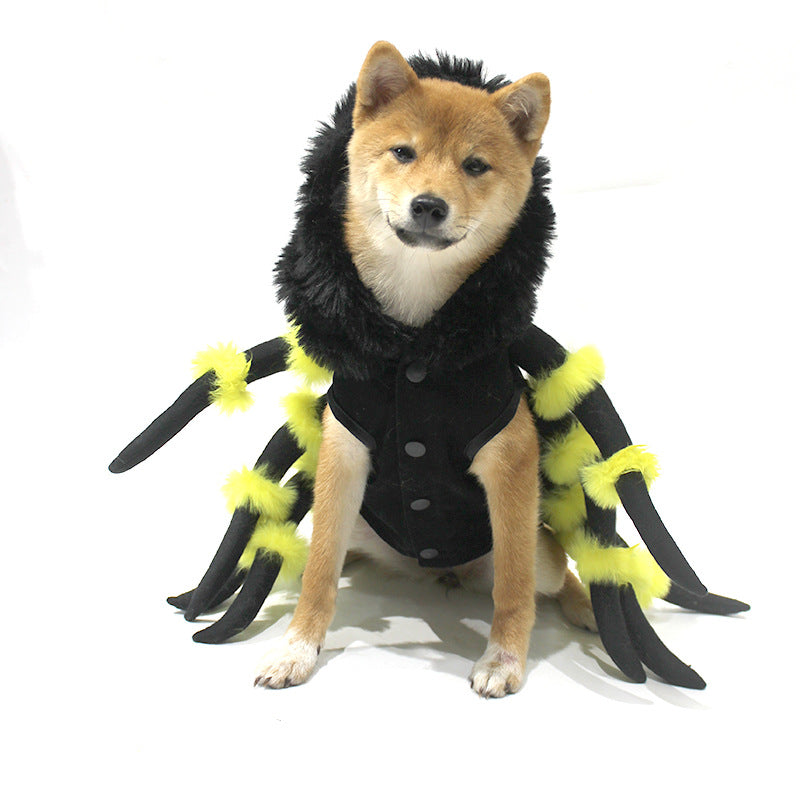 Funny Pet Spider Costume for Halloween and Cosplay