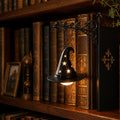 Library bookshelf lighting fixture